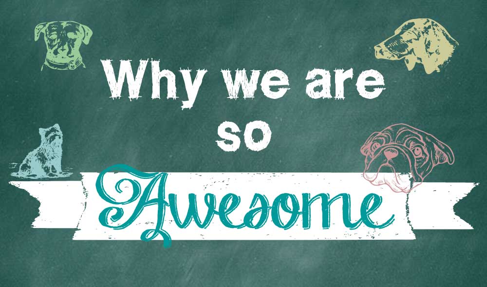 why we are awesome