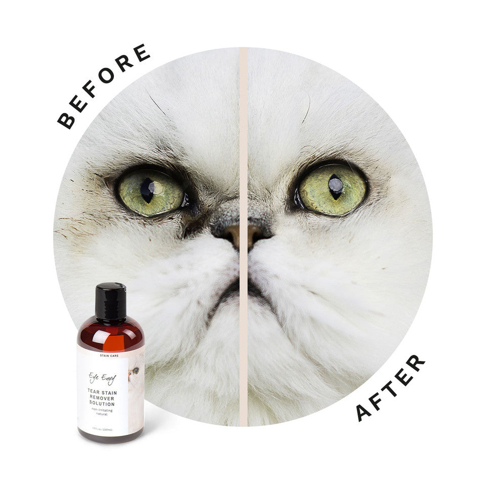 Eye Envy Tear Stain Remover Solution for Cats