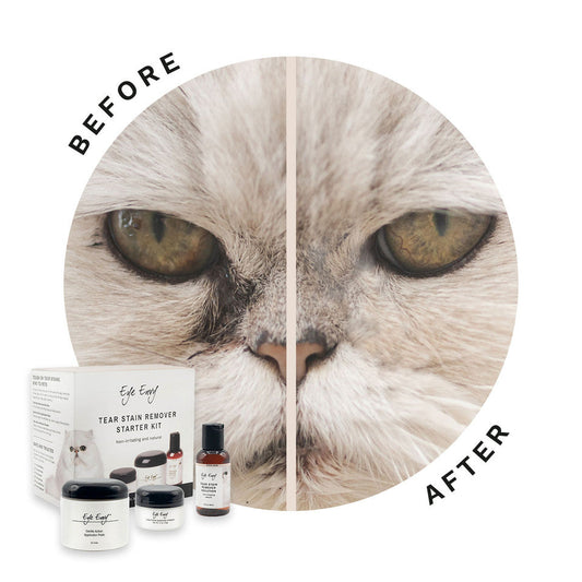 Eye Envy Cat Tear Stain Remover Starter Kit
