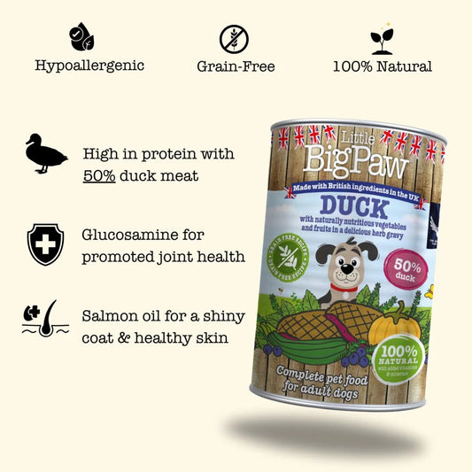 Little Big Paw Duck,Bluberries,Courgette,Pumpkin & Herbs