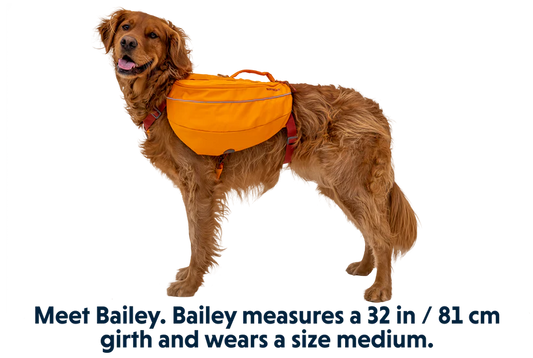 Ruffwear Approach Pack™