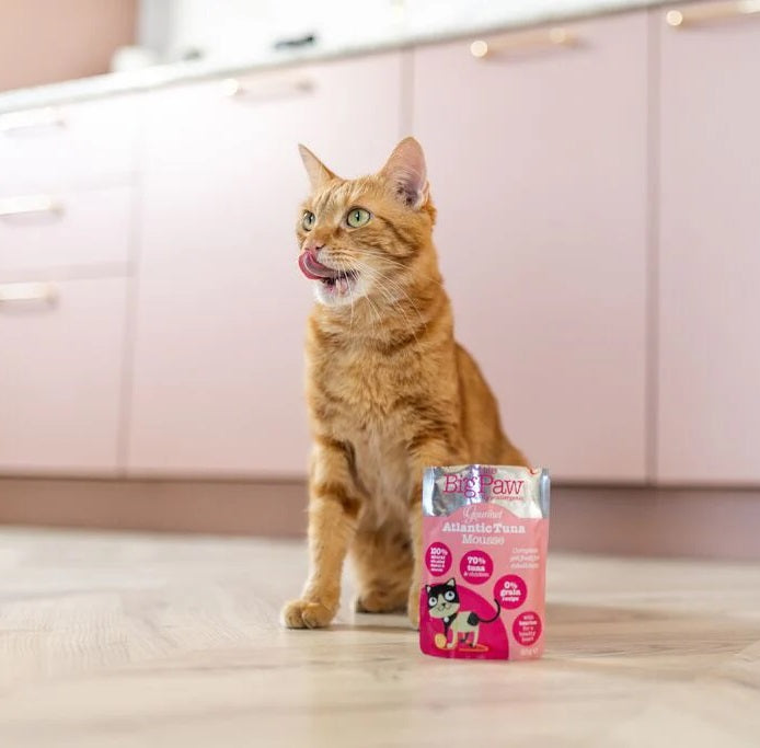 Little Big Paw Gourmet Atlantic Tuna Mousse