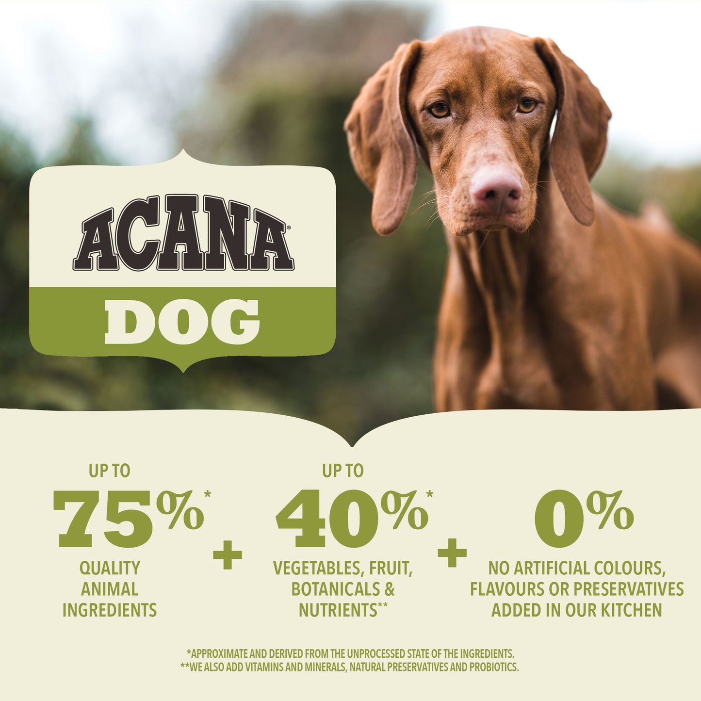 Acana Adult Small Breed Dry Dog Food