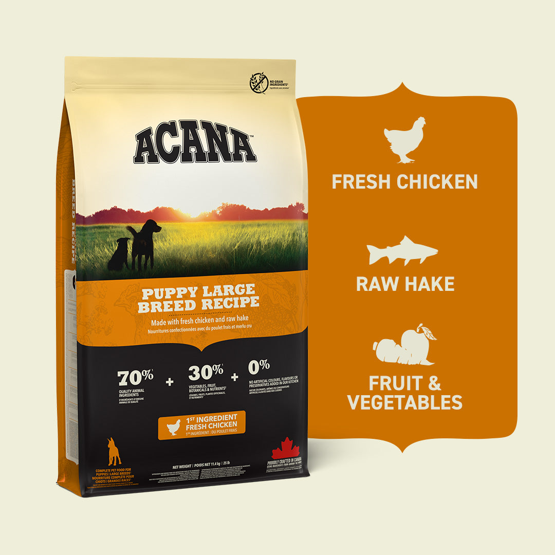 Acana Puppy Large Breed Dry Dog Food