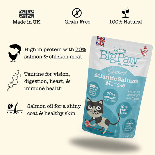 Little Big Paw Gourmet Atlantic Salmon Mousse