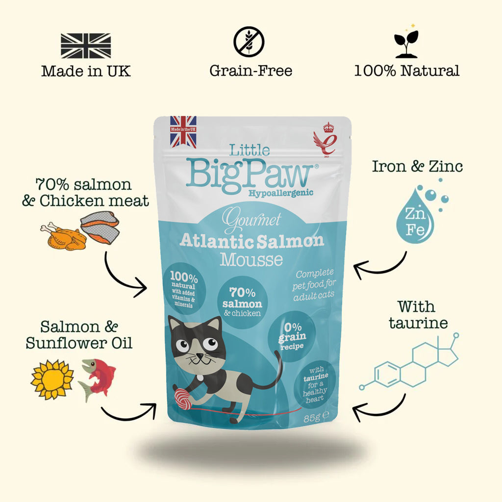 Little Big Paw Gourmet Atlantic Salmon Mousse