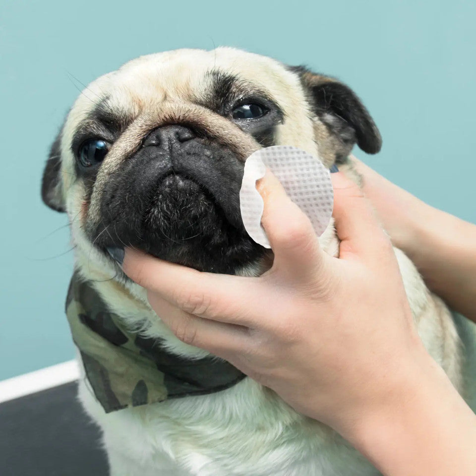 Eye Envy Bulldog Wrinkle Wipes