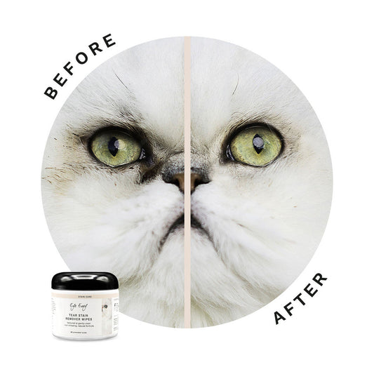 Eye Envy Tear Stain Remover Wipes for Cats