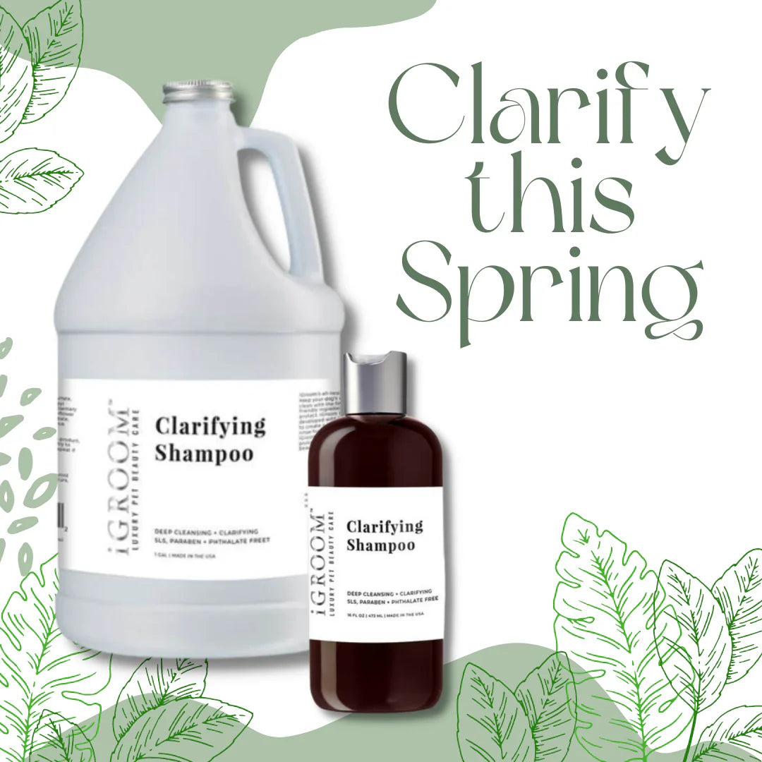 iGroom Clarifying Shampoo