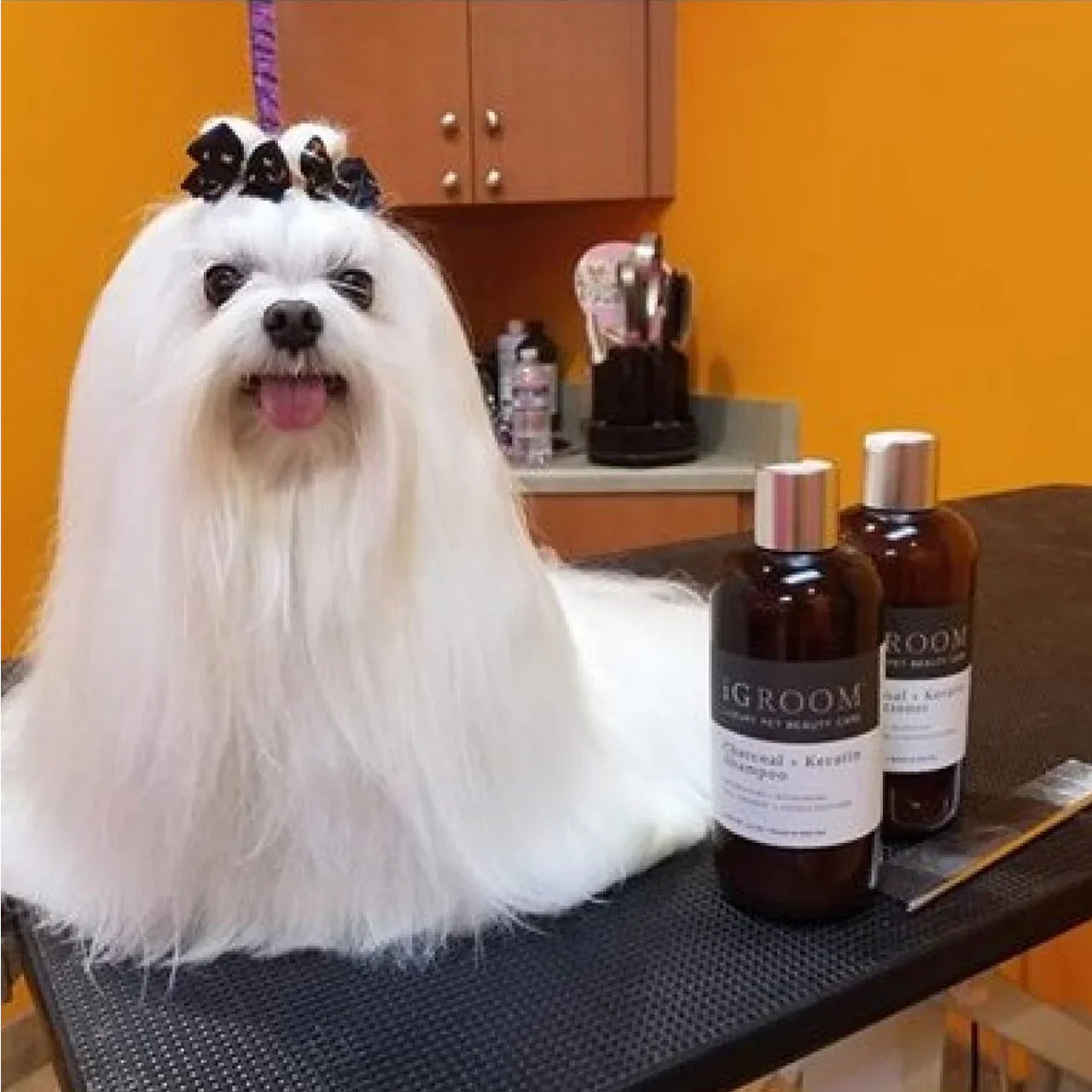 IGroom Charcoal + Keratin Shampoo