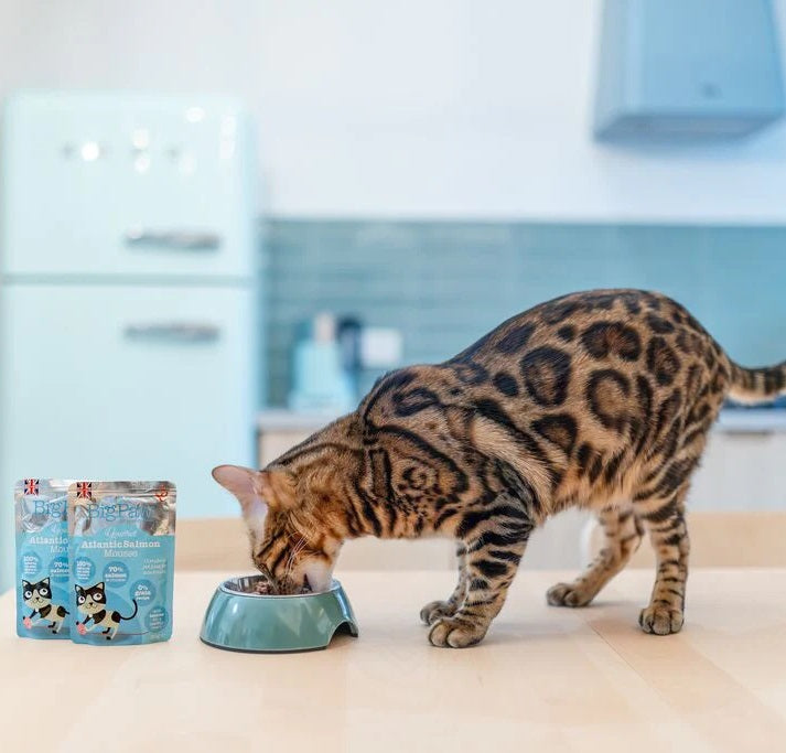 Little Big Paw Gourmet Atlantic Salmon Mousse