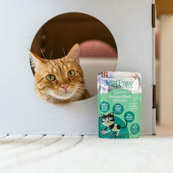 Little Big Paw Gourmet Ocean Fish Mousse