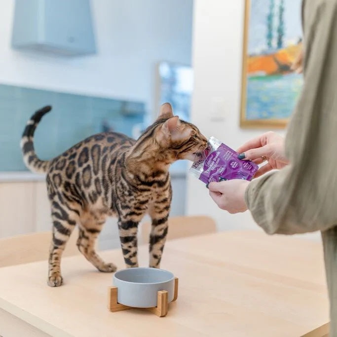 Little Big Paw Gourmet Tender Duck Mousse