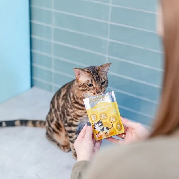 Little Big Paw Gourmet Tender Turkey Mousse