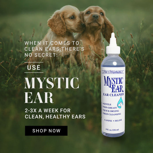 Chris Christensen Mystic Ear Cleaner