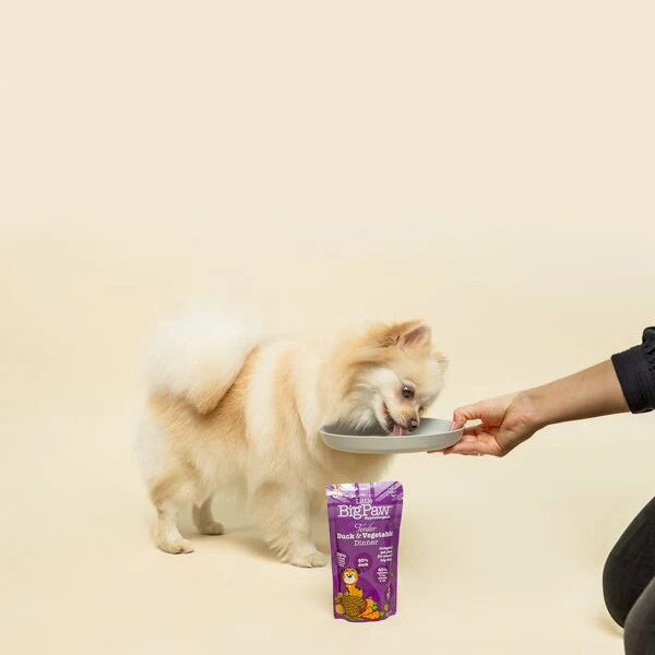 Little Big Paw Tender Duck & Vegetable Dinner