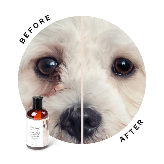 Eye Envy Tear Stain Remover Solution for Dog