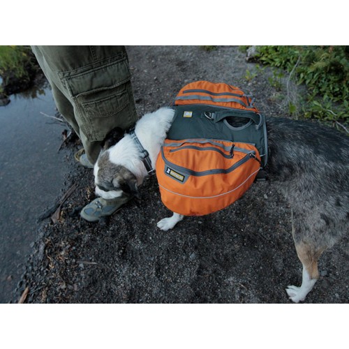 Ruffwear Approach Pack™