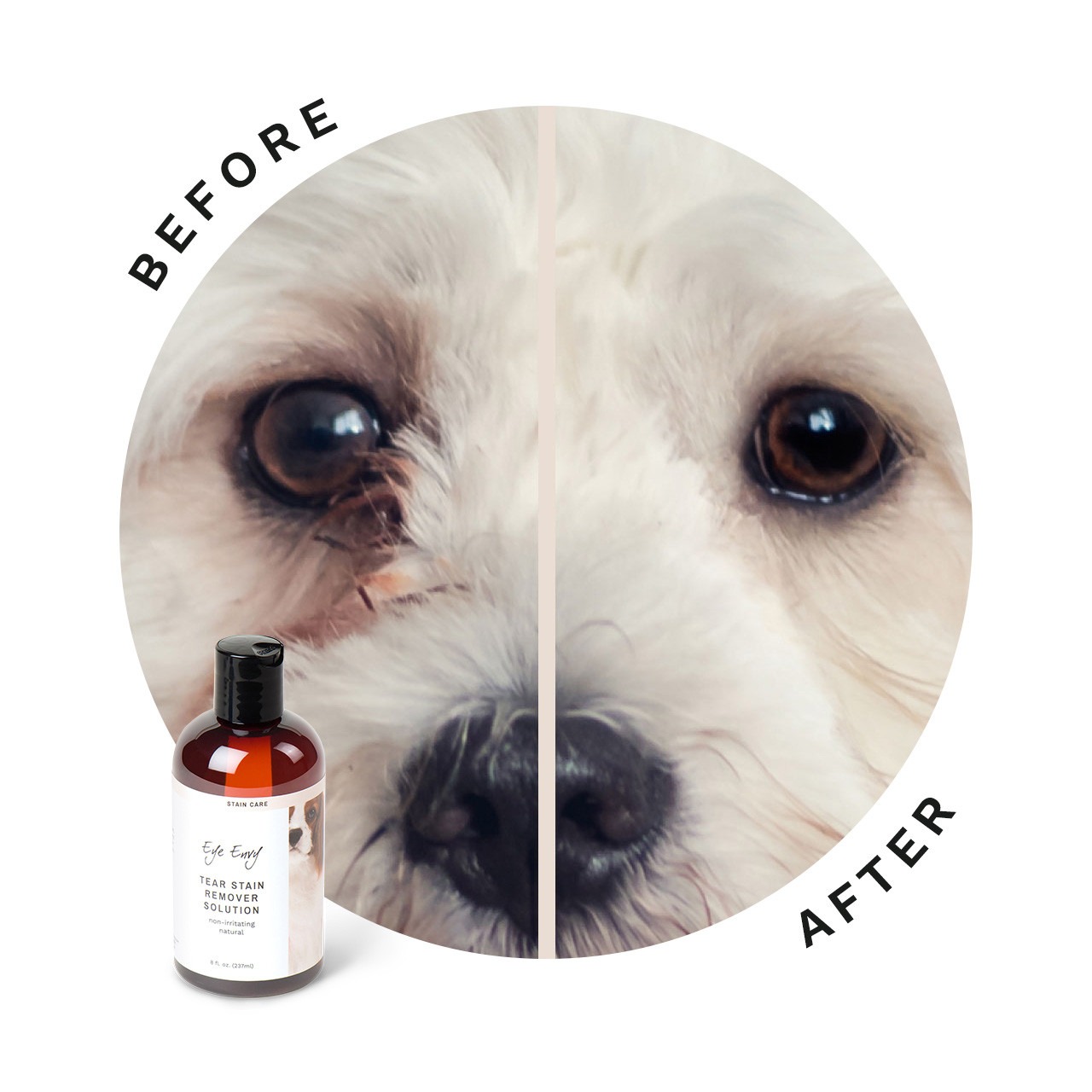 Eye Envy Tear Stain Remover Solution - Dogs 
