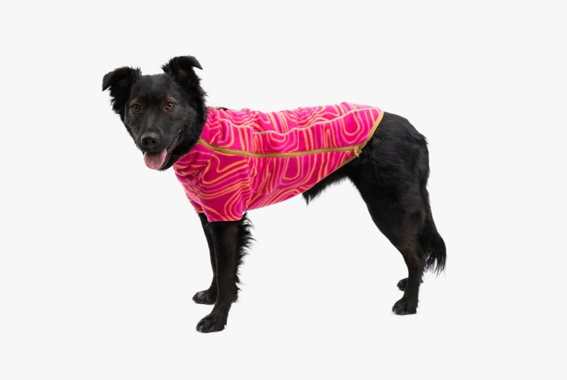 Ruffwear Climate Changer Dog Fleece