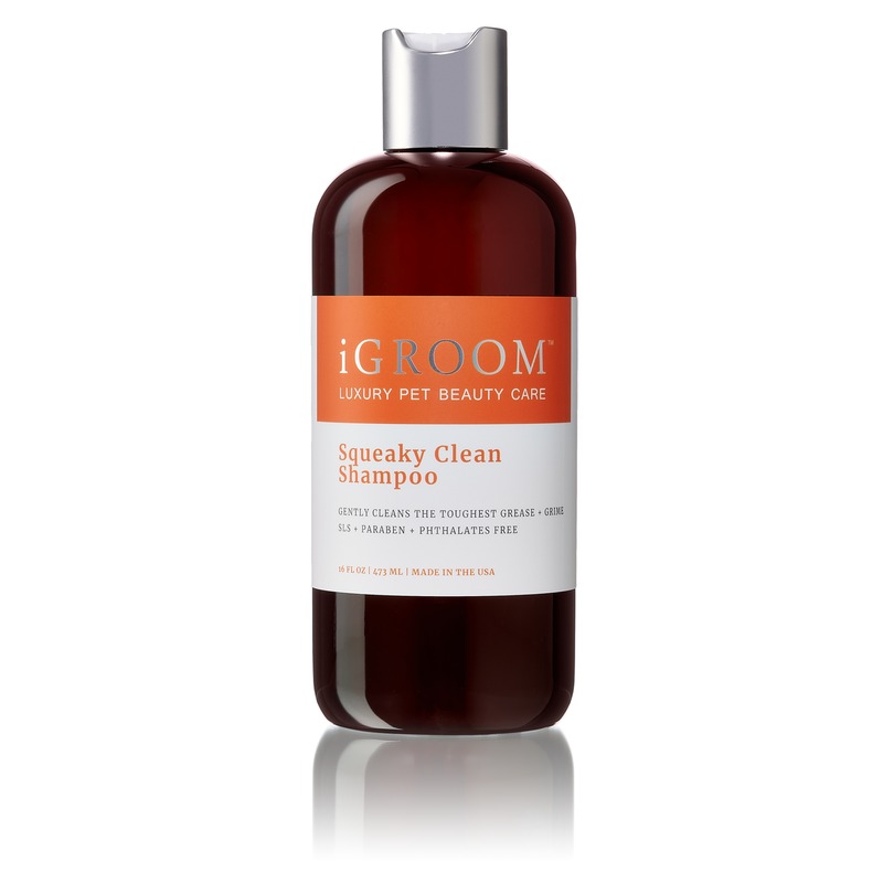 iGroom Squeaky Clean Shampoo