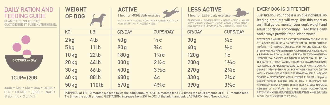 feeding guide LAMB