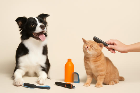 The Ultimate Guide to Pet Grooming: Keeping Your Furry Friend Healthy and Happy