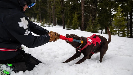 Ruffwear Pacific Loop_Sockeye Red_Standard