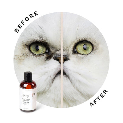 Eye Envy Tear Stain Remover Solution for Cats