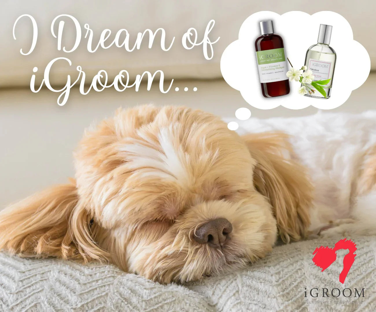 IGroom Argan + Vitamin E shampoo