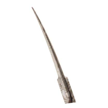 Groom Professional Astrid Curved Scissor And Case