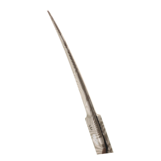 Groom Professional Astrid Curved Scissor And Case