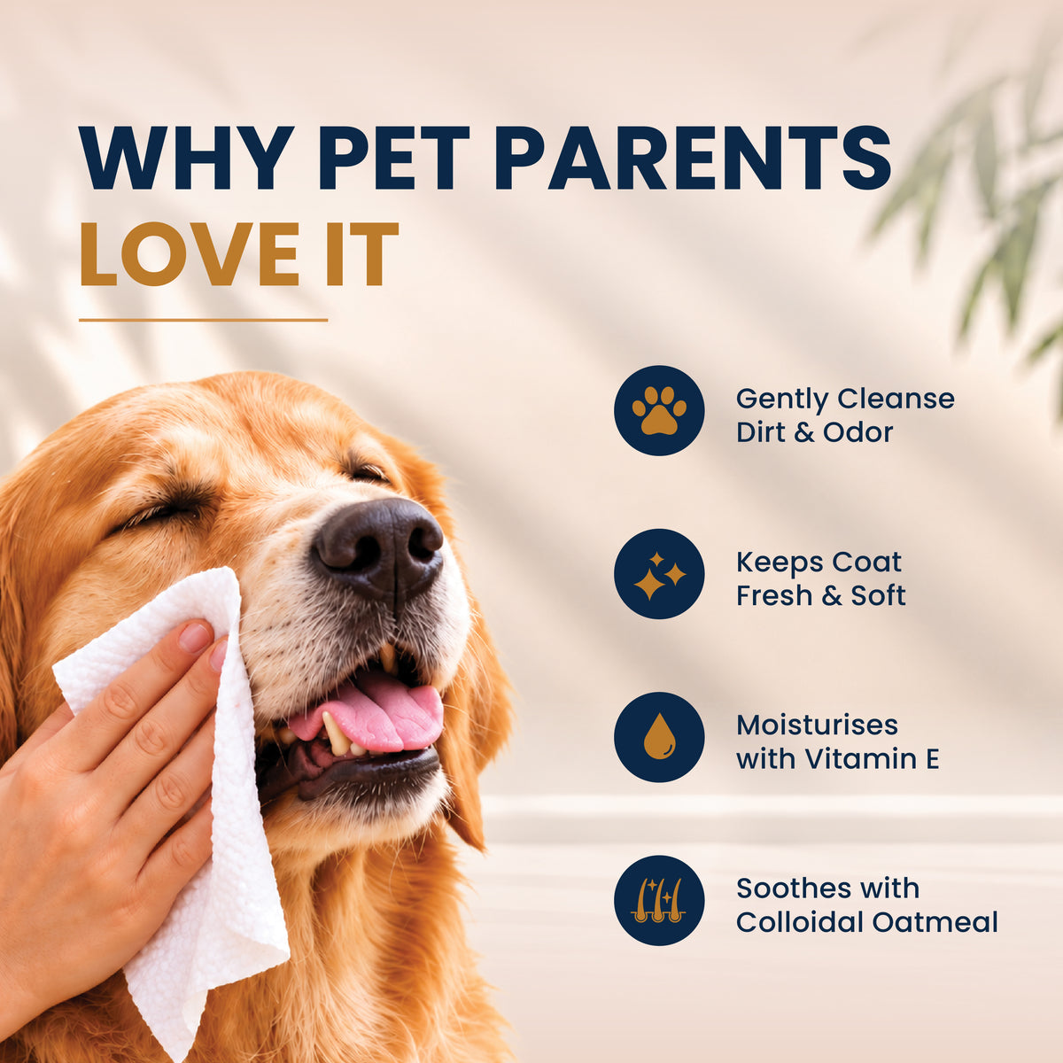 Pet Wipes with Vitamin E & Oatmeal | Vanilla | 60 Pulls