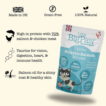 Little Big Paw Gourmet Atlantic Salmon Mousse