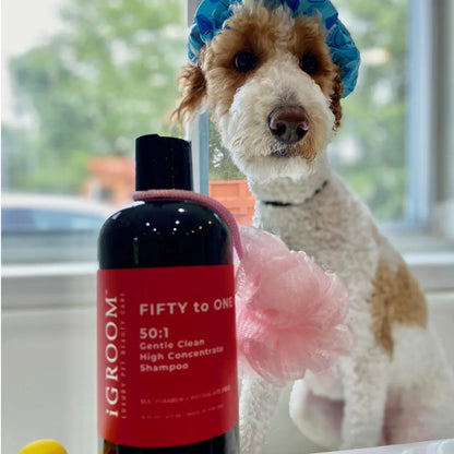 iGroom FIFTY to ONE SE Shampoo