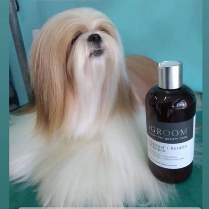 IGroom Charcoal + Keratin Shampoo
