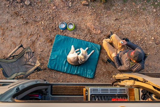Ruffwear Mt Bachelor Pad