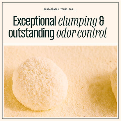 Sustainably Yours Large Grains