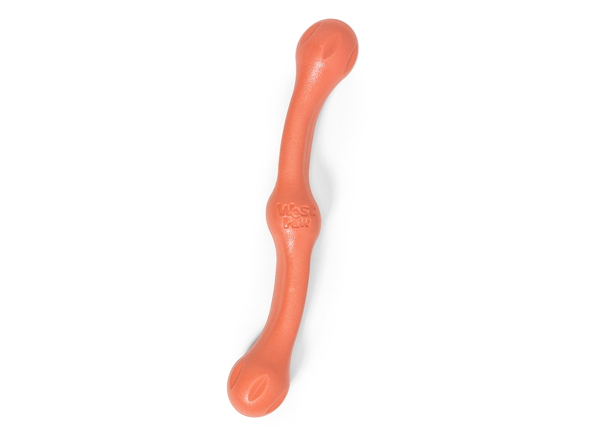 West Paw Zogoflex_Echo_Zwig